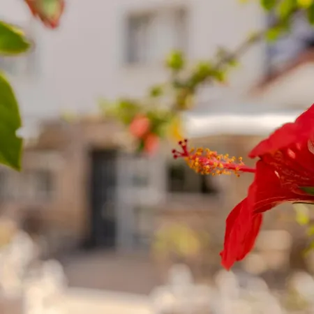 Rentitspain Pequeño Paraíso Confort Y Piscina Torremolinos